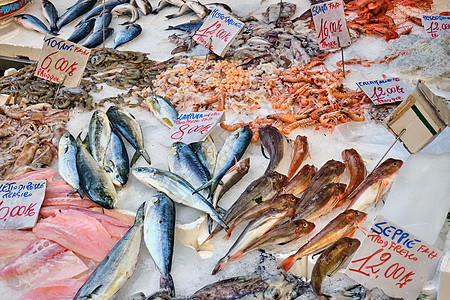 供销售的新鲜鱼和海鲜营养贝类销售盐水棕褐色鱿鱼饮食食物章鱼渔业图片