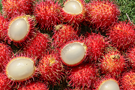 一束红色红毛丹水果的全画幅拍摄 特写去皮的红毛丹 顶视图健康水果红毛丹 甜果实是一种圆形至椭圆形的单种子浆果 上面覆盖着肉质柔韧图片