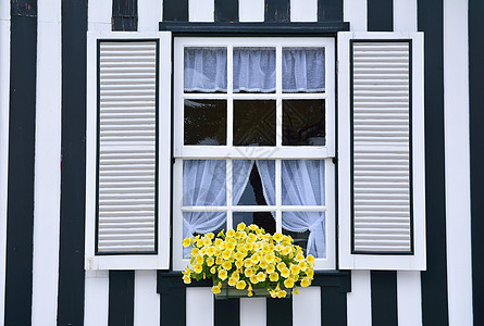 在一栋装饰着花的旧房子里建筑植物村庄框架木头白色建筑学黄色花朵住宅图片