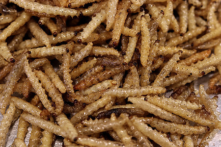 在泰国街头低脂肪食品和许多亚洲国家中 昆虫Fried Crispy丝虫 流行的昆虫零食 廉价高蛋白质小吃毛虫漏洞油炸午餐营养市场图片