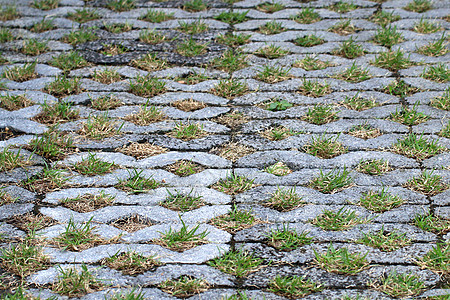 混凝土地板纹理装饰砖块在花园走道上日本公园的石头步道和鹅卵石地面上的绿色苔藓地面公园的水泥小径组成干叶落绿草花园岩石铺路人行道正图片