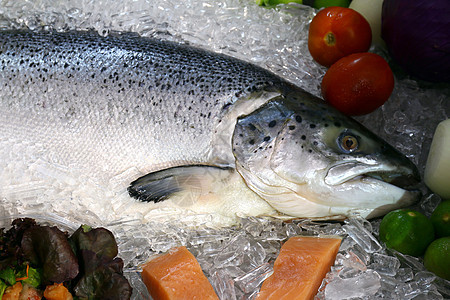 鲑鱼 鲑鱼 在冰盘上大量新鲜生鲜动物撒拉钓鱼烹饪美食海鲜瀑布食物销售市场图片