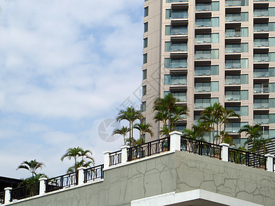 屋顶旅馆建筑背景上许多树锅图片