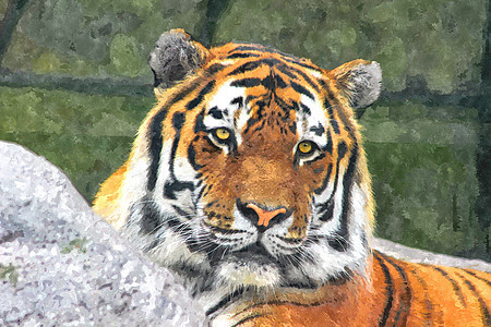 数字艺术作品 一头虎的水彩图象图片