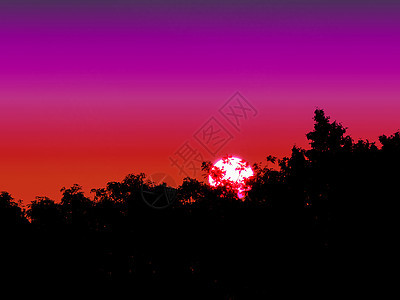 紫橙色天空的日落后光影林图片