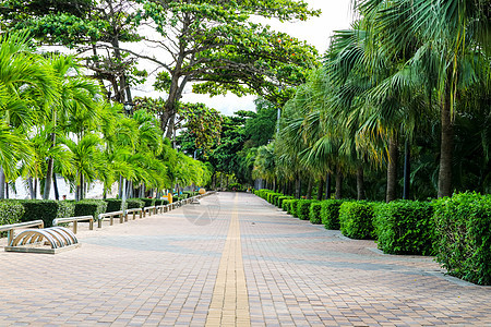 砖块混凝土海滩路和花园 sid植物铺路草地石头小路公园路面院子人行道农村图片