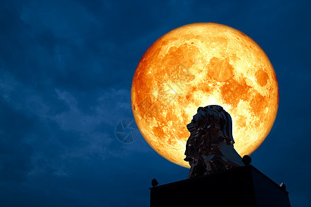 红色血月背影狮子的夜空状态墙纸天空月球月光反射海景月亮风景血月海浪图片