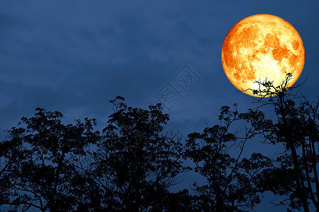 红色血月背影树之夜天空海浪月光反射风景日落血月墙纸月亮地平线天空图片