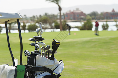 把高尔夫球俱乐部放在袋子里娱乐高尔夫球热带休闲闲暇运动越野车俱乐部绿色球杆图片