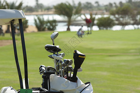 把高尔夫球俱乐部放在袋子里娱乐绿色运动球杆休闲热带闲暇越野车俱乐部高尔夫球图片