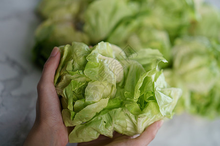 人手触摸新鲜沙拉黄油头生菜花园食物生长植物水培沙拉农场营养叶子蔬菜图片