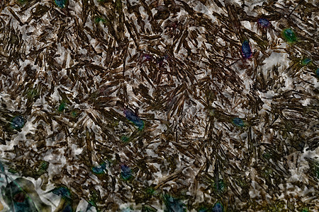 自然的抽象艺术棕色木材纹理损坏侵蚀衰变粮食裂缝环境白蚁腐蚀荒野装饰害虫木头图片