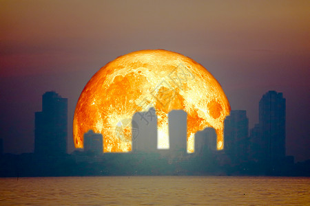 城市之夜的天上 建筑着月亮血流满月戏剧性血月天空亮度植物月球城市红月亮森林图片