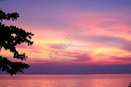 海边的日落 月光树和多彩云夜空旅行情调假期热带海浪太阳棕榈天堂风景植物图片