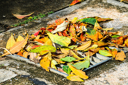 大雨过后树叶掉落 排干排水区导致飞路流动叶子摄影城市公园管道环境生活检修木屐图片