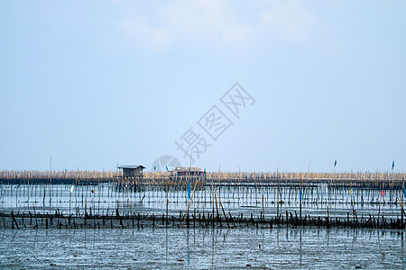 红树林一带海域的渔船养殖场牡蛎美食农场钓鱼异国蓝色城市厨房情调太阳图片