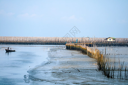 红树林一带海域的渔船养殖场农场厨房美食城市天空太阳海鲜岩石团体荒野图片