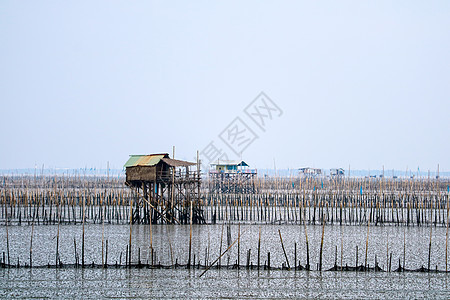 红树林一带海域的渔船养殖场农场男人城市海鲜蓝色天空美食文化海岸团体图片