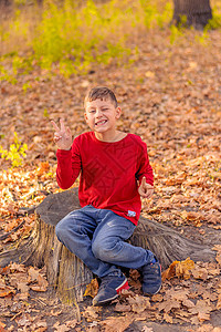 穿着红色毛衣的搞笑小男孩 坐在一个秋天公园的树桩上 展示标志胜利图片