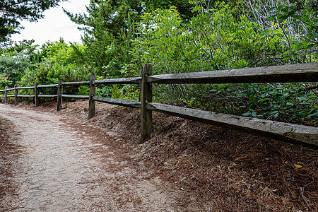 木制围栏和通往海滨的步行道路图片