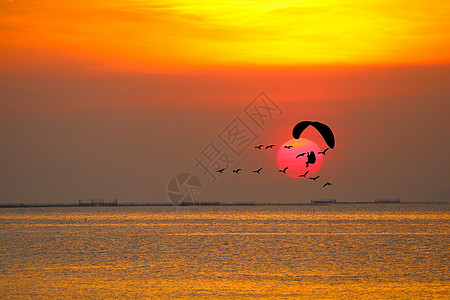 日落飞鸟和海面和彩色的月光抛光机场景白鹭生长天空反射动物降落伞鸟类环境彩虹图片