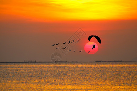 日落飞鸟和海面和彩色的月光抛光机橙子反射爬坡场景彩虹动力伞太阳天空海鸥环境图片