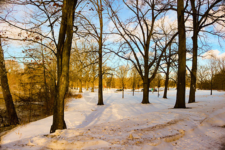冬天的道路和雪 树木的风景布满冰霜晴天场景插图天空蓝色墙纸雪花森林季节木头图片