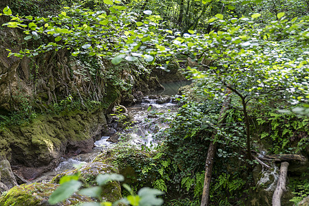 黑河 来自马莫尔瀑布的河流学习旅游魅力能源历史折射山景文化旅行溪流图片