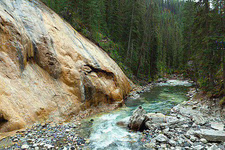 加拿大艾伯塔省约翰斯顿峡谷道公园绿色娱乐国家瀑布假期旅游踪迹峡谷岩石图片