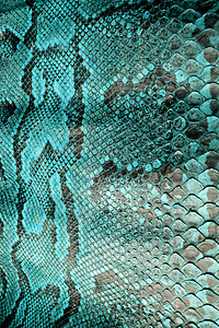 彩色真蛇皮蛇皮动物印花背景鳄鱼打印爬虫墙纸紫色纺织品皮肤材料活力图片