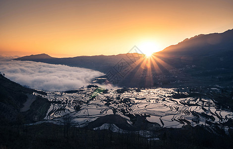 中国元阳的田田 阳光明媚的太阳升起图片