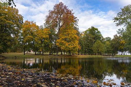 湖中丰富多彩的秋天树的反射图片