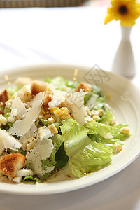 凯撒沙拉特写美食沙拉环境胡椒盘子饮食餐厅午餐食物营养图片