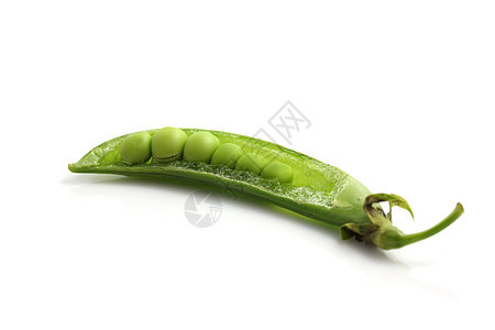 在白色背景中孤立的大豆食物小吃植物蔬菜美食异黄酮饮食豆类叶子营养图片
