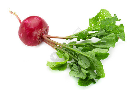 在白色背景上隔离的新鲜成熟的萝卜圆形紫色水果块茎绿色蔬菜红色沙拉叶子收成图片