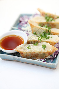 Gyoza 青沙猪肉营养烹饪饺子美食餐厅油炸大豆盘子食谱图片