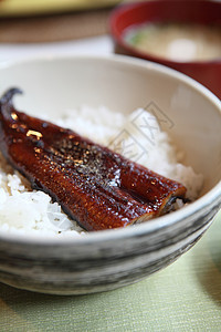 用日本米饭的意大利风格美食食物午餐营养熏制餐厅海藻大豆蔬菜鳗鱼背景图片