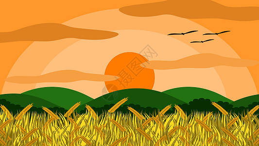 矢量图的稻田与稻谷准备积累  Beyondts 和这里是树山 日落的时候气氛很好 这是一幅美丽的自然图画图片