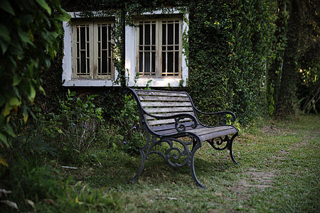 英语公园的长椅和窗户 有树叶纹理椅子凳子叶子木头植物草地家具场景场地座位图片