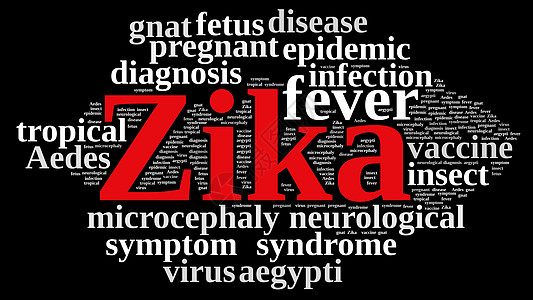 Zika病毒的传言蚊子昆虫疾病发烧感染蚊蚋插图伊蚊胎儿热带图片