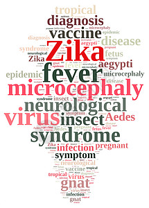Zika病毒的传言蚊子胎儿诊断疾病感染疫苗伊蚊热带蚊蚋症状图片