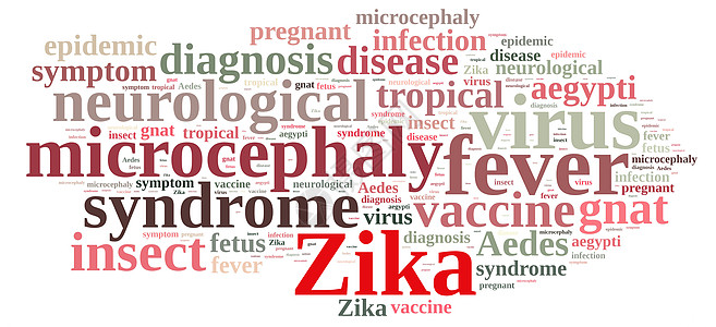 Zika病毒的传言插图昆虫热带疫苗感染蚊蚋伊蚊发烧疾病症状图片