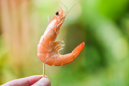 手头上的虾片和自然背景     海产食品图片