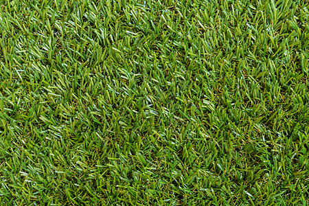 草地纹理背景足球地面植物群草原场地植物绿色公园土地花园图片