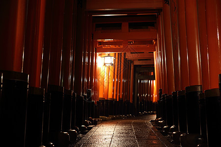 晚上在神庙的Tori门 有选择性地聚焦宗教游客地标木头神社橙子文化旅行神道寺庙图片