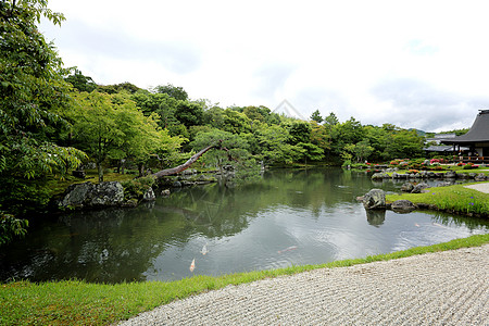 在日本京都的日本花园建筑学植物场景衬套历史性季节池塘叶子公园花园图片