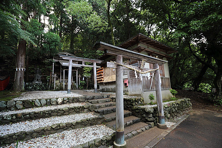 日本圣殿 有日本红门和绿青木叶旅行宝塔天际历史性宗教寺庙场景景观建筑学城市图片