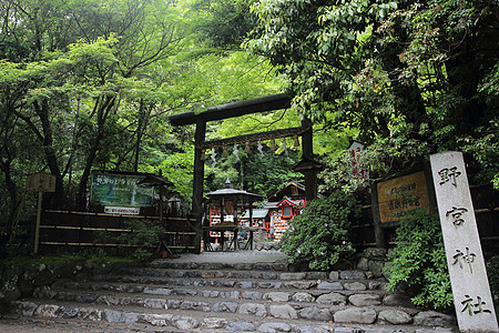 日本圣殿 有日本红门和绿青木叶建筑学寺庙景观观光宝塔天际神社历史性场景佛教徒图片