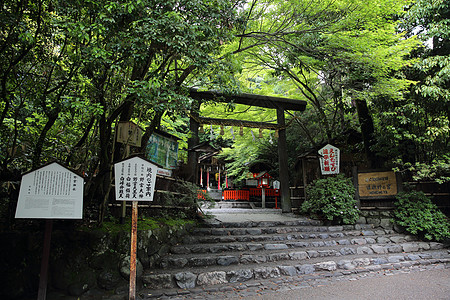 日本圣殿 有日本红门和绿青木叶场景城市地标天际建筑学佛教徒旅行宝塔宗教神社图片