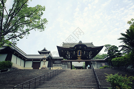 日本京都的日本寺庙和绿坡叶宝塔旅游历史性神社观光宗教天际地标场景城市图片